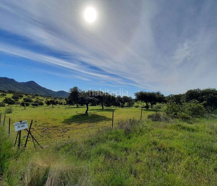 Foto d2191229-2323-4c8b-b288-23170d69c3ae. Casa a Alía