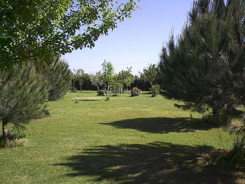 Foto 52a1a2a9-ec1b-48ad-bf1f-d2718937ebf8. Finca rústica a Santa Olalla