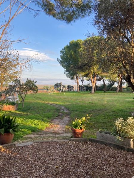 Foto c729cba7-1be8-4306-851b-0ed0a3021174. Finca rústica a Santa Olalla