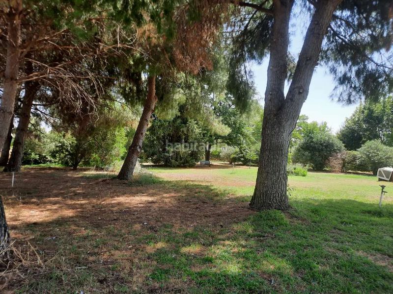 Foto cae84f31-cb68-4012-979b-614634032148. Finca rústica a Santa Olalla