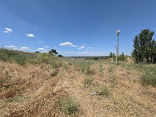 Finca rústica en Escalona. Terreno urbano y rustico en escalona