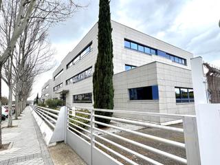 Lloguer Oficina a El Pinar-Punta Galea. Alquiler de oficinas de 220 m y 217m con instalaciones modernas