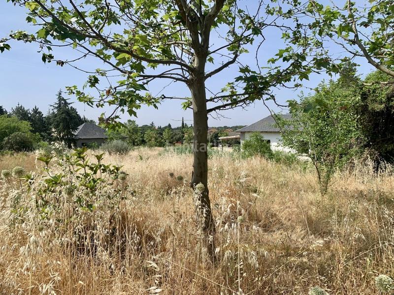 Foto b22e9e8e-d8ec-4895-ba55-0eeaee9b1781. Terreno residenziale in Colmenarejo