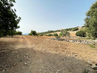 Rural plot in Sineu. Terreno en mallorca para casa de campo, sineu