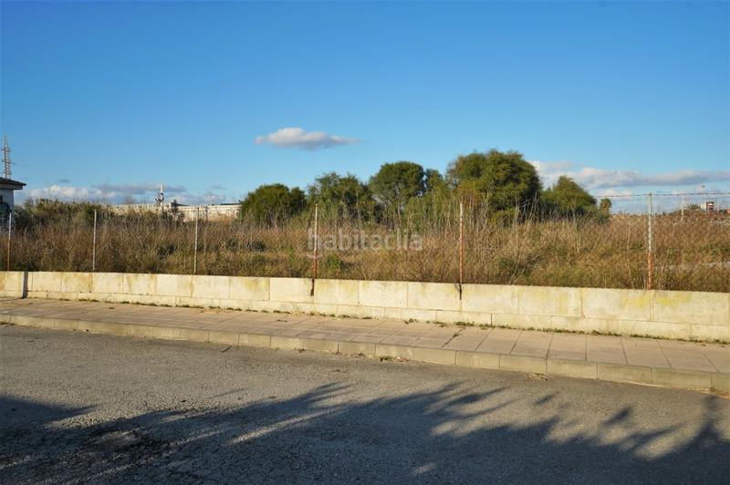 Foto 84a59c31-e3a4-4de5-bb88-f04c0a25c12d. Finca rústica terreno en puerto de alcudia, mallorca en Alcúdia