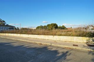 Rural plot in Port d´Alcúdia-Platja dÁlcúdia. Terreno en puerto de alcudia, mallorca