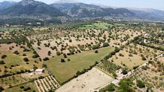 Rural plot in Zona Periurbana. Terreno rústico edificable con proyecto y licencia a la venta en