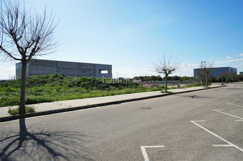 Foto 0dd9e0af-20fa-4739-9cda-ef32b1d5e314. Finca rústica a ciutat d´Alcúdia Alcúdia