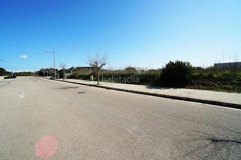 Foto 8e6e84ff-9c39-43b6-bdfa-f689544066a2. Finca rústica a ciutat d´Alcúdia Alcúdia