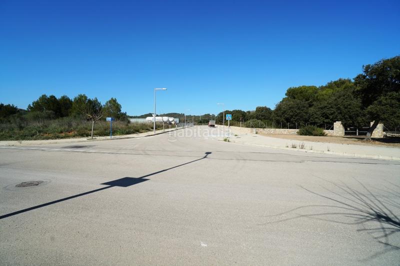 Foto c7ea4a8d-1b95-46e1-8819-d76e080dc6c8. Finca rústica a ciutat d´Alcúdia Alcúdia