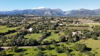 Finca rústica a Selva. Terreno con proyecto y licencia entre selva y campanet