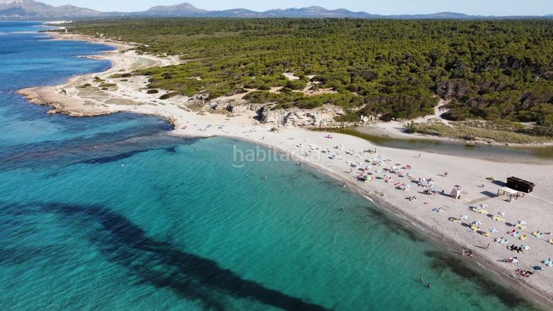 Foto 396a3ec5-ebdc-439f-ac58-2a5f6c86e192. Finca rústica a Can Picafort Santa Margalida