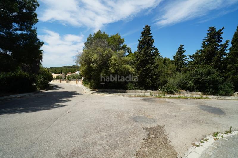 Foto 5f4c7c6f-3e94-425a-a7a0-817ddf1bf6b6. Finca rústica terreno en venta en mallorca, bonaire en Alcúdia
