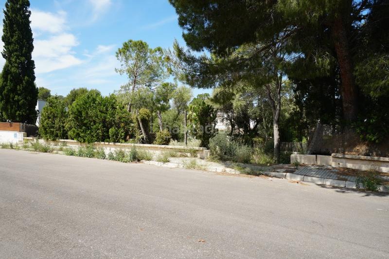 Foto bc19a594-df54-4e79-9b91-790ad030a198. Finca rústica terreno en venta en mallorca, bonaire en Alcúdia