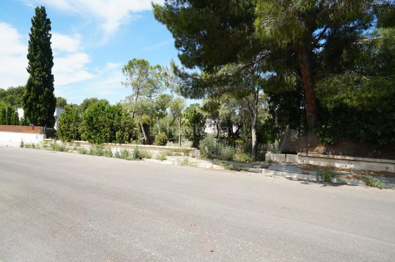 Foto de2ab421-7eeb-4afb-9d3a-31eab8b025a2. Finca rústica terreno en venta en mallorca, bonaire en Alcúdia