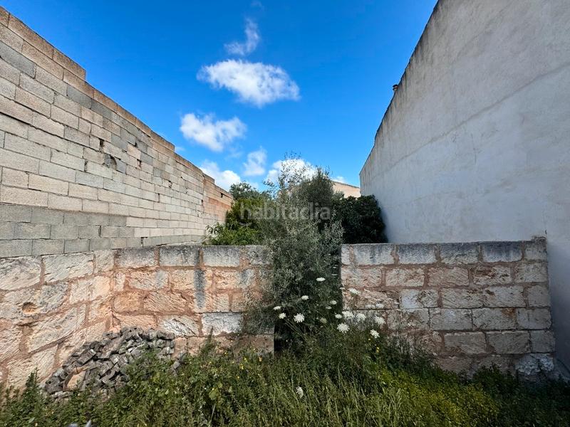 Foto c9c9e8d7-59b0-47be-bf9d-a8c631df536b. Landgut in Sa Pobla