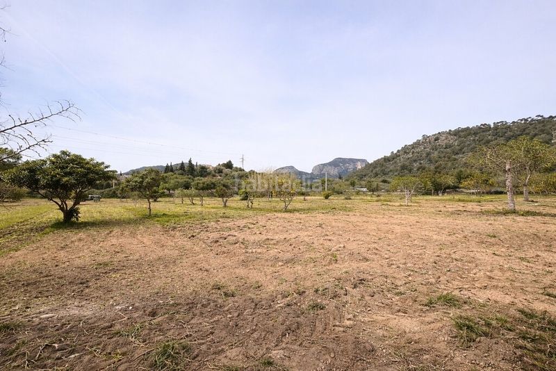 Foto 0df14ef7-2bba-448f-8483-f02c6370d5af. Masia a Lloseta