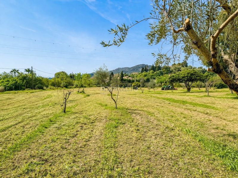 Foto 61b5f9b2-f0cf-41a8-a56e-cdb412487625. Masia a Lloseta