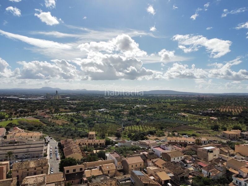 Foto 6ce988d6-bd26-4e63-9ff1-18d6e4d2007f. Masia a Lloseta