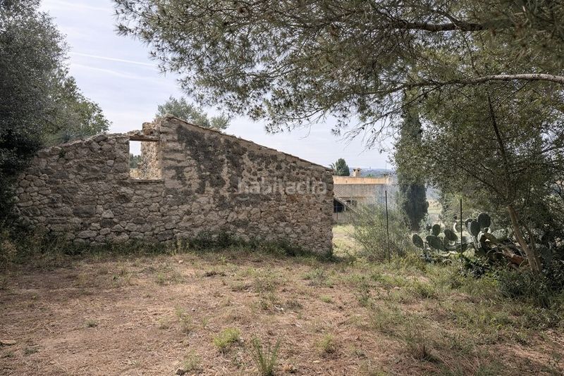 Foto aed2a3d0-dd42-47b1-9067-7859098fdf70. Masia a Lloseta