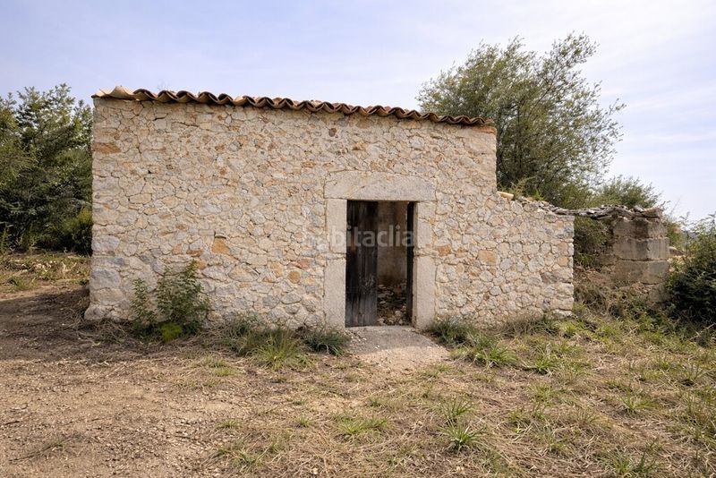 Foto b2656969-65c7-493a-89e8-7d69965fa5c9. Masia a Lloseta