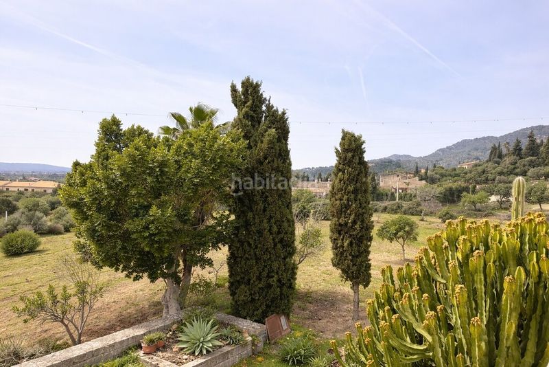 Foto d76605a0-89e0-4362-8f5b-ec8771decbd7. Masia a Lloseta