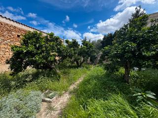 Rural plot in Santa Margalida Poble. Terreno en venta en santa margalida.