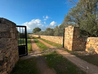 Propriété à Sa Cabaneta. Terreno rústico edificable cerca de marratxi con vistas a la bah