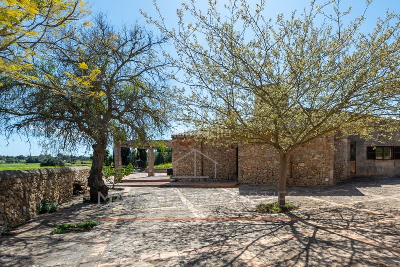 Foto f05e5a55-040c-4aa2-9328-478f88de4c27. Masia amb aparcament piscina a Felanitx poble Felanitx