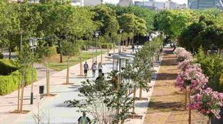 Planta baixa a Arxiduc. Planta baja en venta en palma de mallorca.
