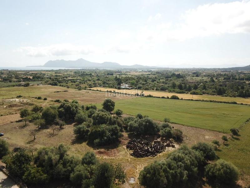 Foto f3ae1ccb-116d-44a4-89d4-3734af4ddc98. Finca rústica a Pollença poble Pollença
