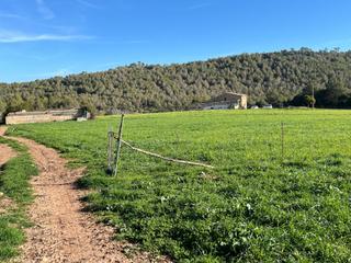Mas à Artà Poble. Finca rústica a la venta en artà, mallorca.
