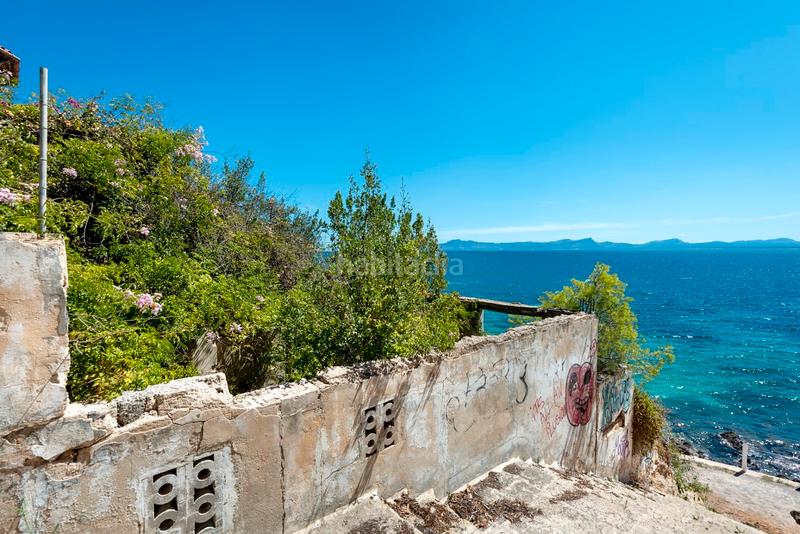 Foto 4d12edaf-7a50-46e0-b7ed-fbe4d6b3dced. Landgut in port d´Alcúdia-platja dálcúdia Alcúdia