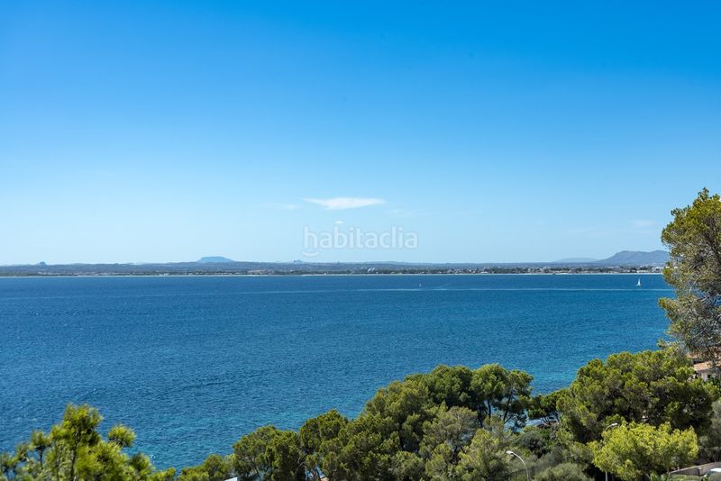 Foto b7ad54f5-981d-40ad-910a-41ad35591455. Xalet amb calefacció piscina a port d´Alcúdia-platja dálcúdia Alcúdia