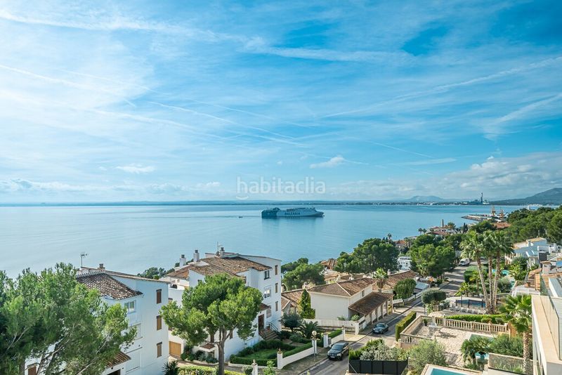 Foto adb8fd15-a35a-40d8-ab8b-813ee909433d. Xalet amb calefacció aparcament piscina a port d´Alcúdia-platja dálcúdia Alcúdia