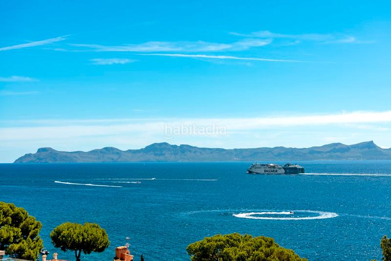 Foto 08eeeb09-c1d5-48d2-a109-ebad966ddcc7. Pis amb calefacció a ciutat d´Alcúdia Alcúdia