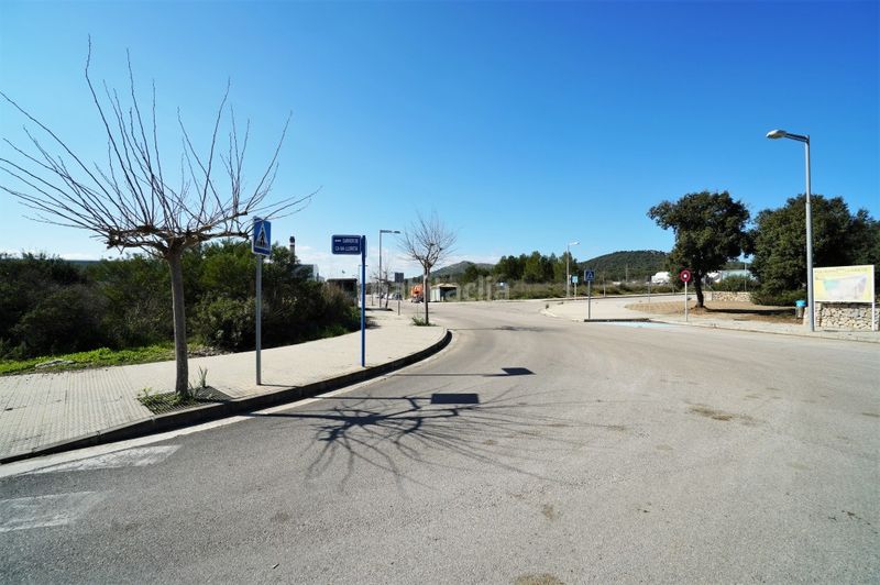 Foto 48213175-bc13-4397-bb2e-bd23ca81492a. Finca rústica a ciutat d´Alcúdia Alcúdia
