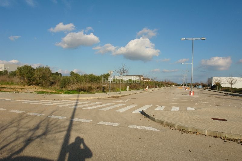 Foto 5e57dae5-d38f-4bb2-a36c-da647e1cfb18. Finca rústica a ciutat d´Alcúdia Alcúdia
