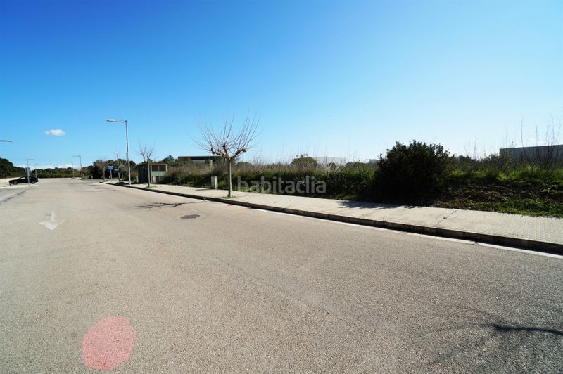 Foto d403e062-046c-4a75-94f4-d0e20e888b30. Finca rústica a ciutat d´Alcúdia Alcúdia