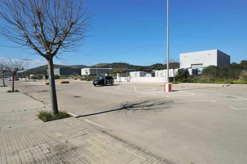 Foto d6e52091-0a7d-4f0c-a9ab-11759743d072. Finca rústica a ciutat d´Alcúdia Alcúdia