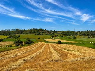 Fondo rustico in Sineu. Terreno con posibilidad de construir vivienda en sineu  mallorca