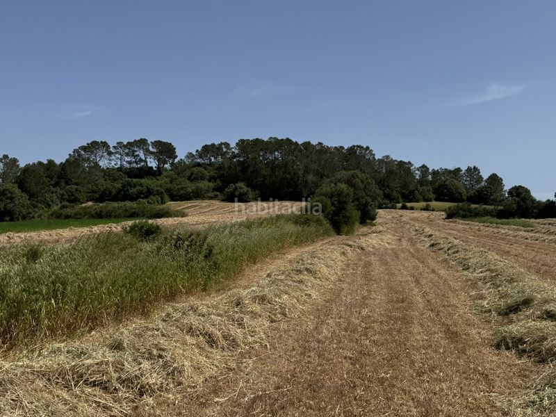 Foto 381f7534-1c80-455a-ae93-c23f72b9a39d. Finca rústica a Sineu