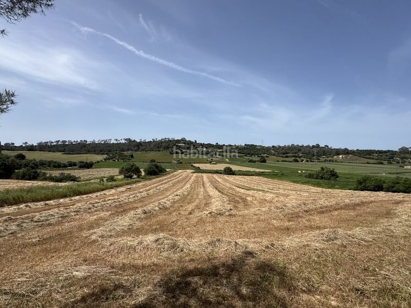 Foto 40e71735-9694-4647-85a7-933b2d61353b. Finca rústica a Sineu