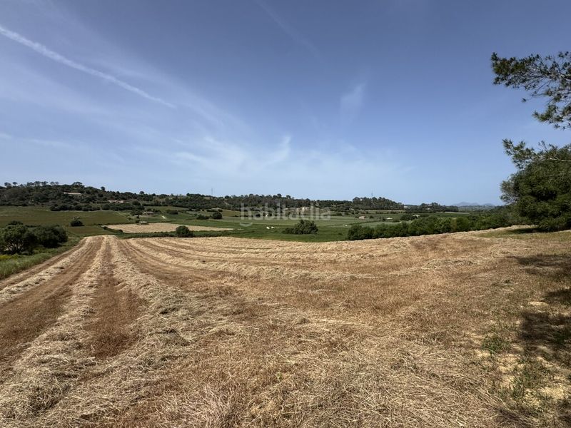 Foto 454c871f-3755-4439-9324-408af91f33f1. Finca rústica a Sineu