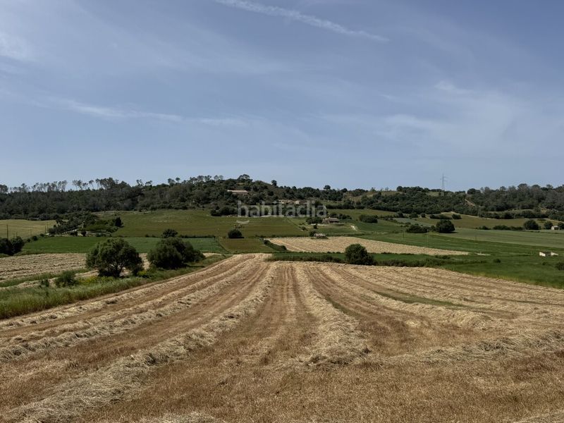 Foto 86c878c5-93f6-4a06-a526-eb2ea77720ae. Finca rústica a Sineu