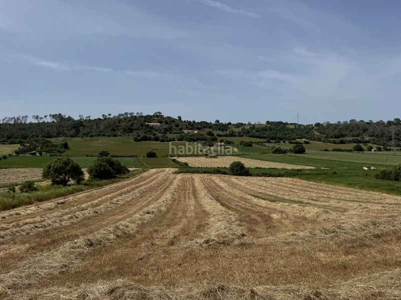 Foto cb342af6-160a-40ed-8c96-7cefc39ed220. Finca rústica a Sineu