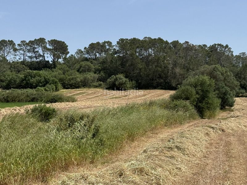 Foto d4937c75-1bd7-43b1-9cd5-9d138ff3404b. Finca rústica a Sineu