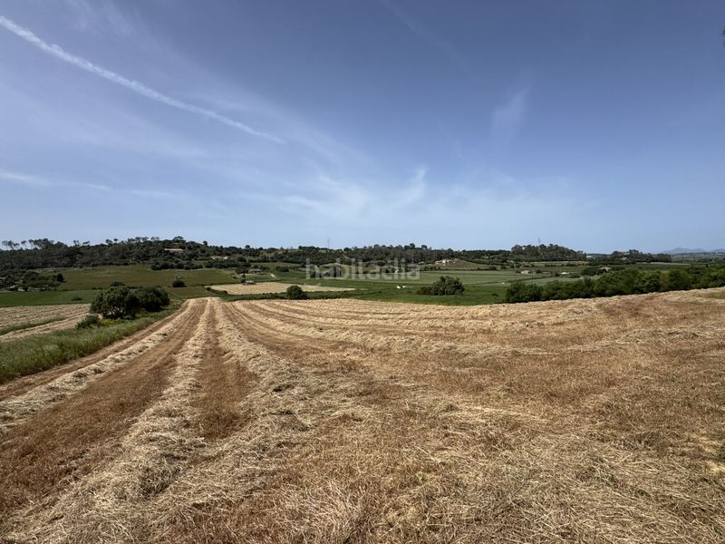 Foto d998fc42-41fa-444c-b21d-209042423a82. Finca rústica a Sineu