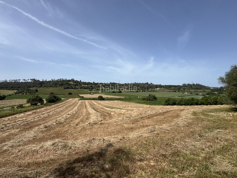 Foto e0269aa4-19cb-4485-a6a6-ed11123c9e11. Finca rústica a Sineu