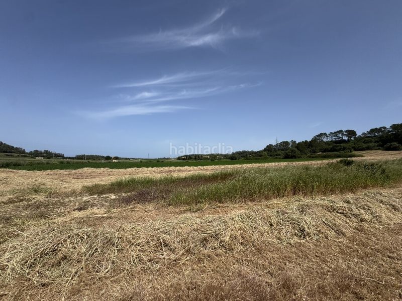 Foto e0b90894-2eb8-4958-b0e6-720a720938d9. Finca rústica a Sineu